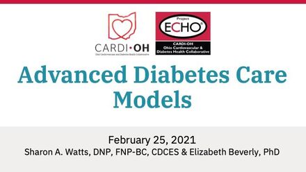 Advanced Diabetes Care Models