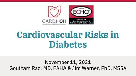 Cardiovascular Risks in Diabetes