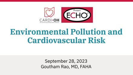 Environmental Pollution and Cardiovascular Risk