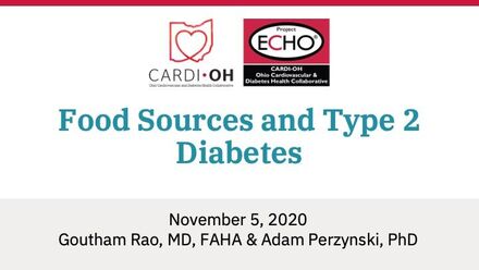 Food Sources and Type 2 Diabetes