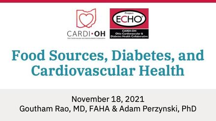 Food Sources, Diabetes, and Cardiovascular Health