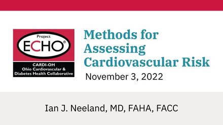 Methods for Assessing Cardiovascular Risk
