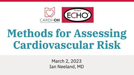 Methods for Assessing Cardiovascular Risk