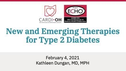 New and Emerging Therapies for Type 2 Diabetes
