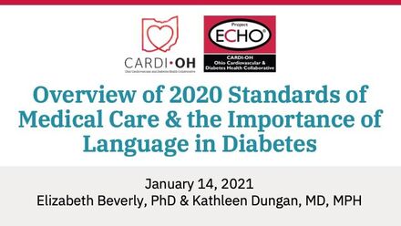 Overview of 2020 Standards of Medical Care and the Importance of Language in Diabetes