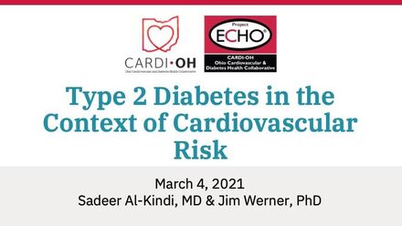 Type 2 Diabetes in the Context of Cardiovascular Risk