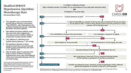 Modified SPRINT Hypertension Algorithm: Monotherapy Start