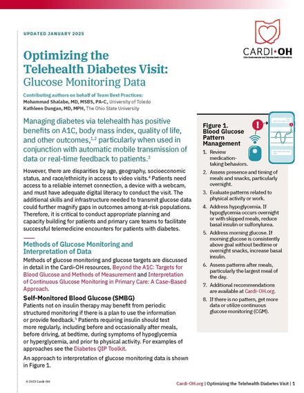 Optimizing the Telehealth Diabetes Visit: Glucose Monitoring Data