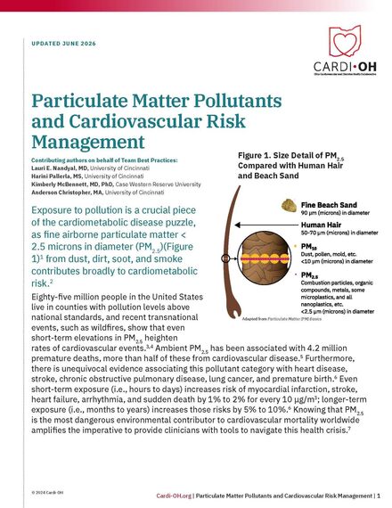 Particulate Matter Pollutants and Cardiovascular Risk Management 