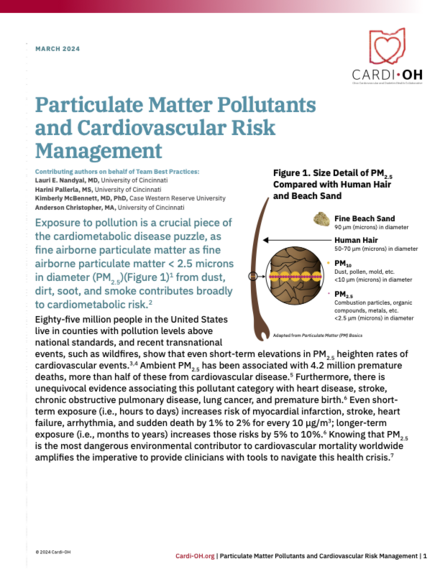 Particulate Matter Pollutants and Cardiovascular Risk Management